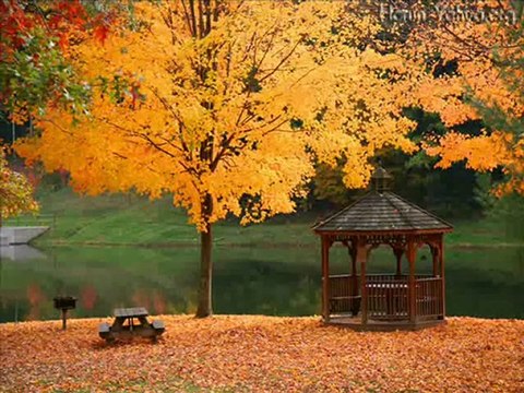 Zeki MÜREN -GÖNÜL PENCERSİNDEN ANSIZIN BAKIP GEÇTİN