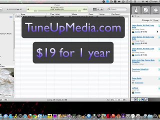 Organize Your iTunes with TuneUp
