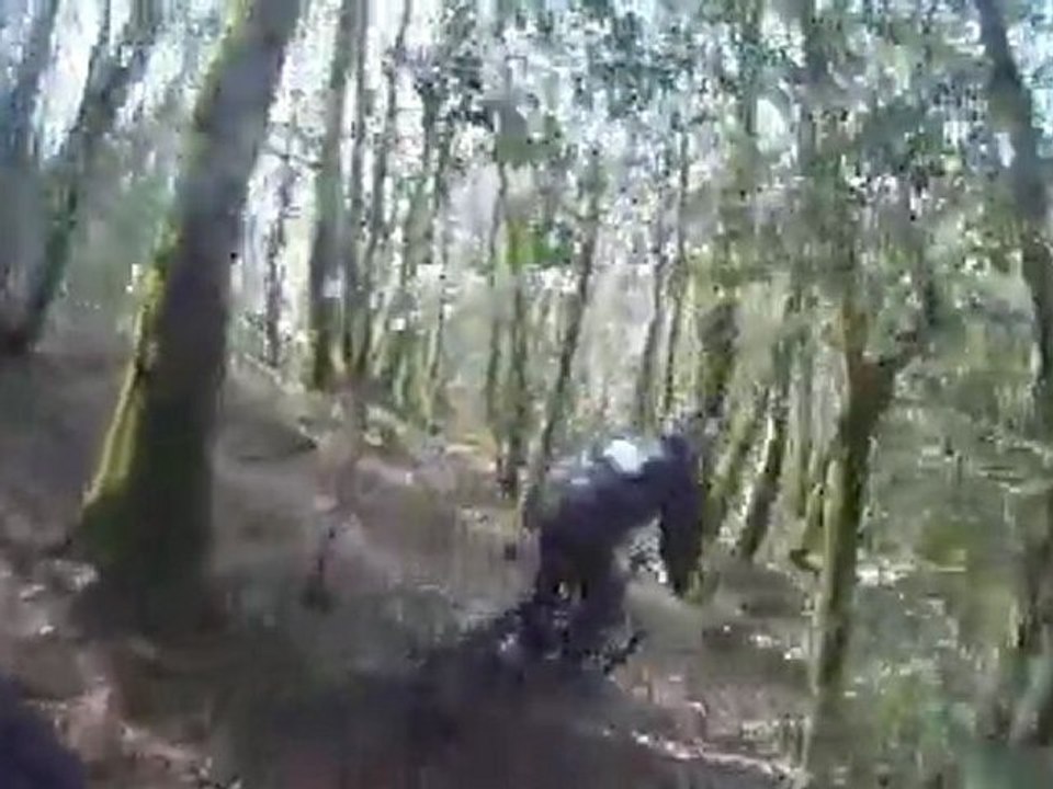 descentes  VTT huelgoat