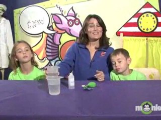 Chemical Reactions Science Project - Gas-O-Meter