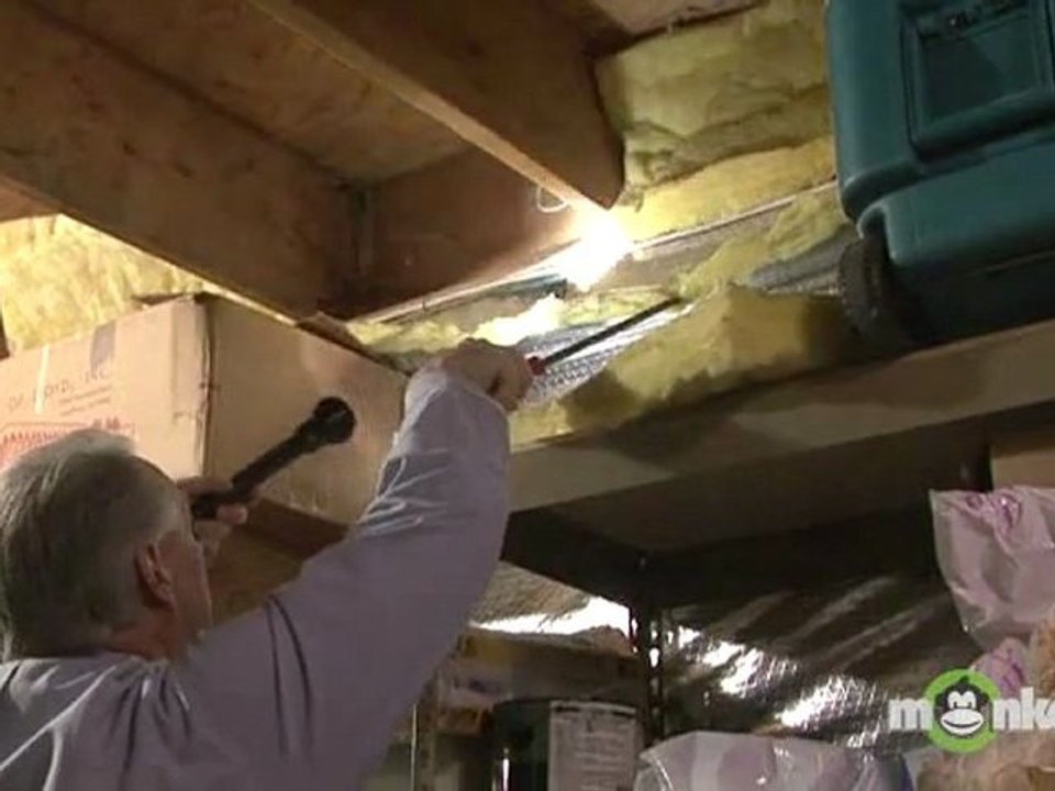 Pest Control - Integrated Pest Management (IPM)