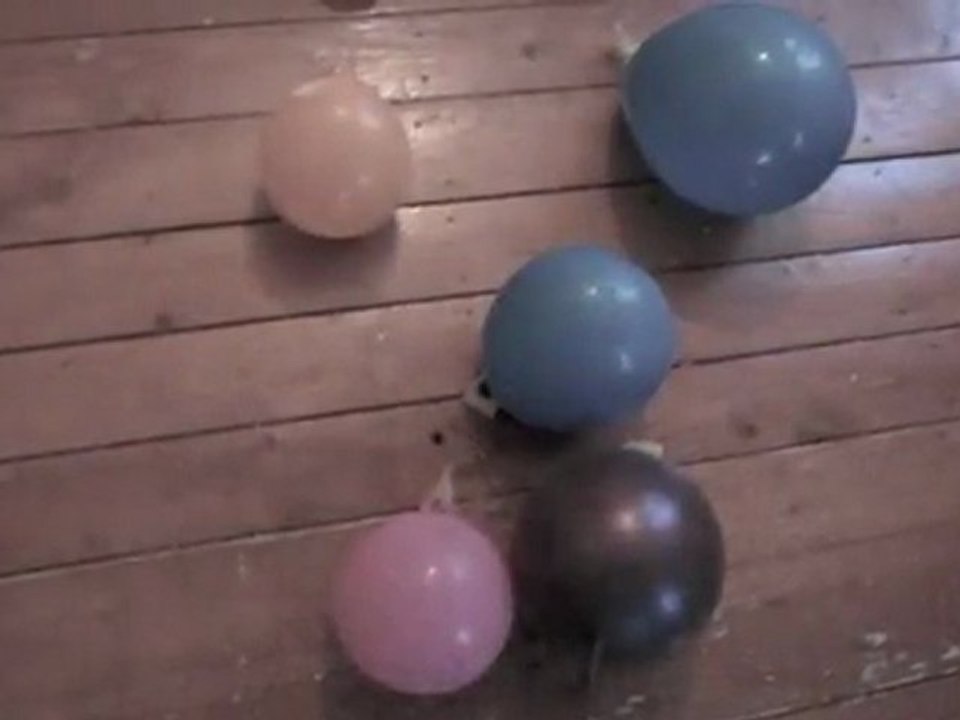 the party