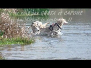 Capone Gusta et Galak au VALVERT