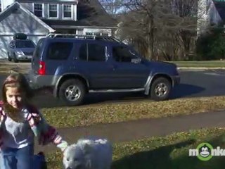 What are some things children can do to be safer while going to or from school?