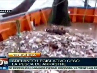 Venezuela lleva tres años sin pesca de arrastre