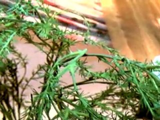 GÜNAY PERDE VE EV TEKSTİL-TANITIM