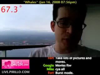 How to Go Whale Watching in Hawaii