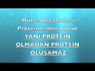 EVRİM TEORİSİ NEDEN GEÇERSİZ-1