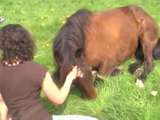 Le bonheur est dans le prés