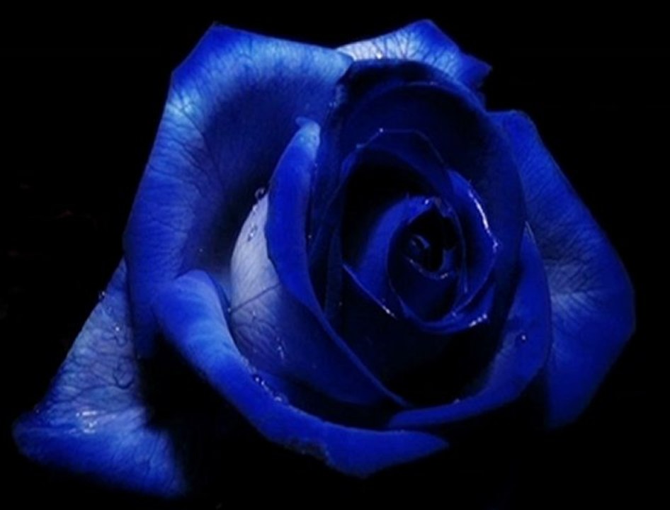 kamil baris - Ahmet Özhan {İnan, İnanki...}