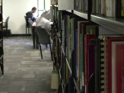 Essay Writing - Thesis, Research and Outline