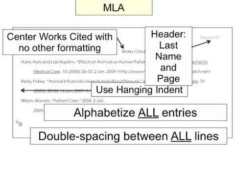 Essay Writing - Reference Page, Footnotes in APA and MLA Formats