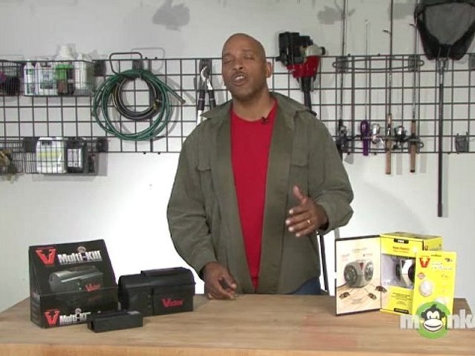Winter Rodent Control Tips