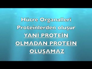 EVRİM TEORİSİ NEDEN GEÇERSİZ-1