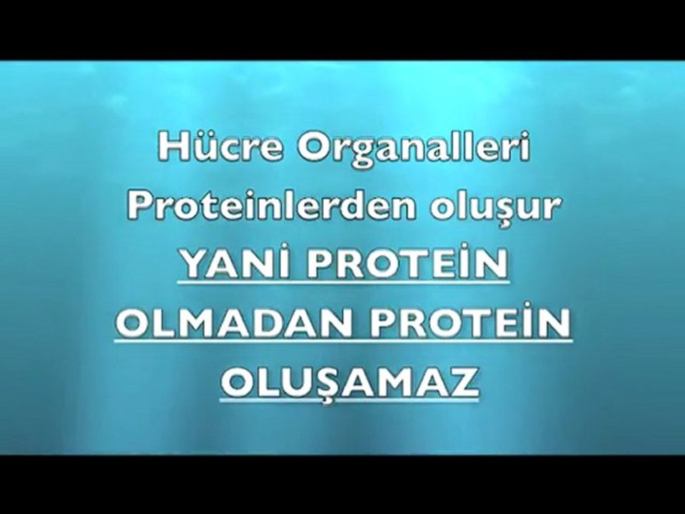 EVRİM TEORİSİ NEDEN GEÇERSİZ-1