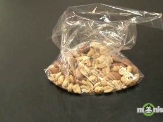 What materials should I bring on the SAT test day?