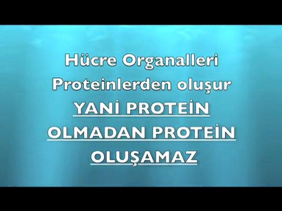 EVRİM TEORİSİ NEDEN GEÇERSİZ-1