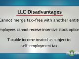 Business Planning – Advantages and disadvantages of LLC’s and S corps