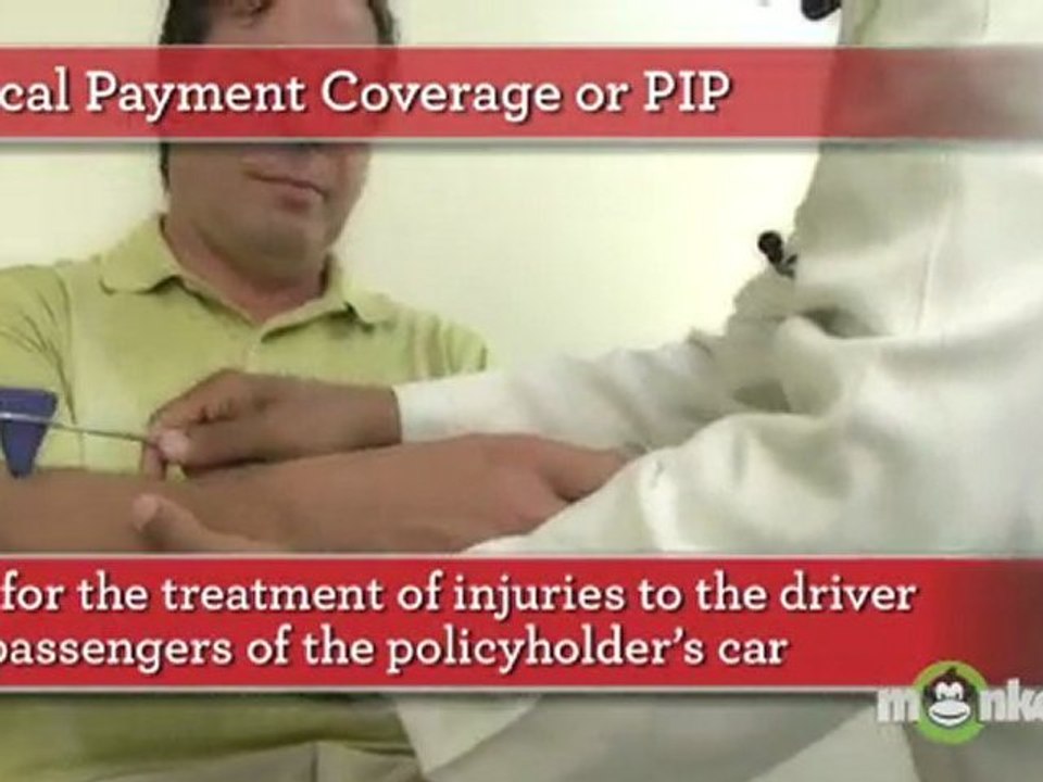 Auto Insurance Coverage Options