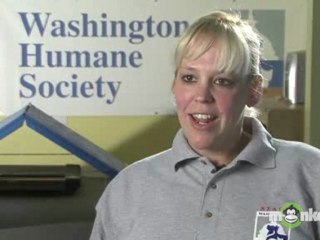 Should I adopt a cat as a surprise gift for someone else?