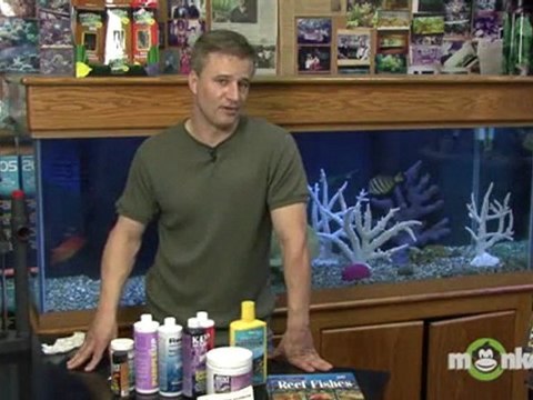 Saltwater Aquarium - Selecting Live Animals