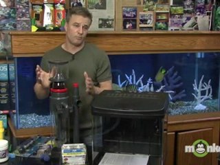 Saltwater Aquarium - Essential Equipment