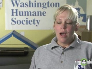Why should I commit to Spay or neuter my new cat?
