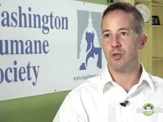 How long will it take to house train a newly adopted puppy?