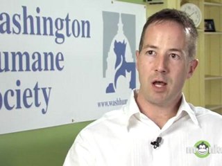 What can I do to prepare my home when I adopt a new dog?