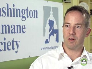 Is it true that a puppy will make an older dog more youthful?