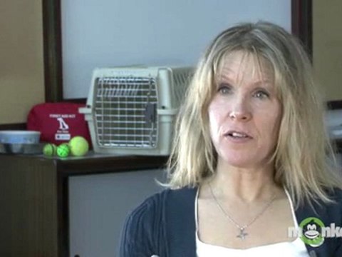 How can I find shelters and co-shelters in my area?