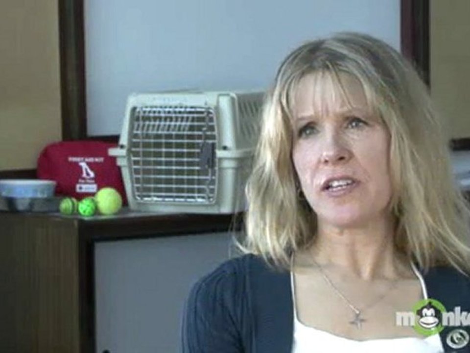 What resources are available to the public for information on how to prepare to evacuate their pets?