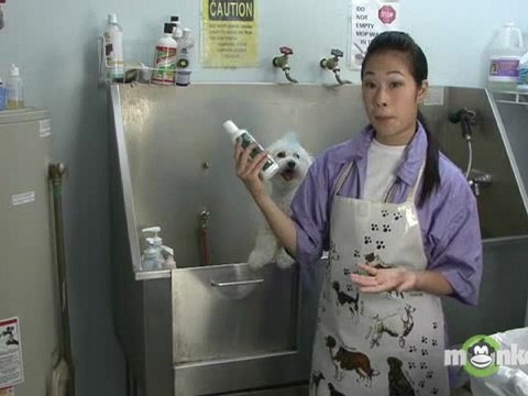 Dog Grooming - Choosing the Right Shampoo