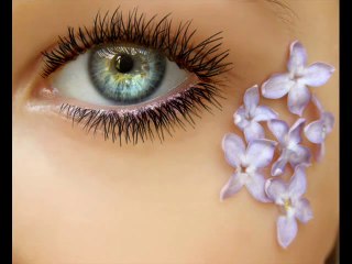 Ezginin Günlüğü - Hışt