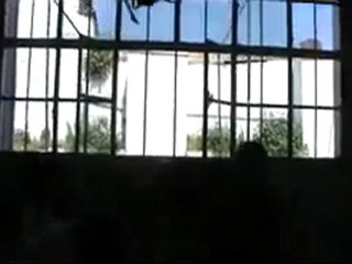 فري برس حمص القديمة  جولة الناشط بيبرس التلاوي ويدخل مسجد 2 4 2012
