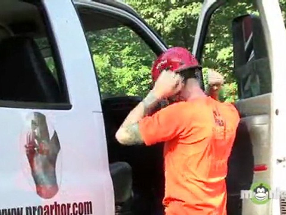 Professional Tree Care Tools & Equipment