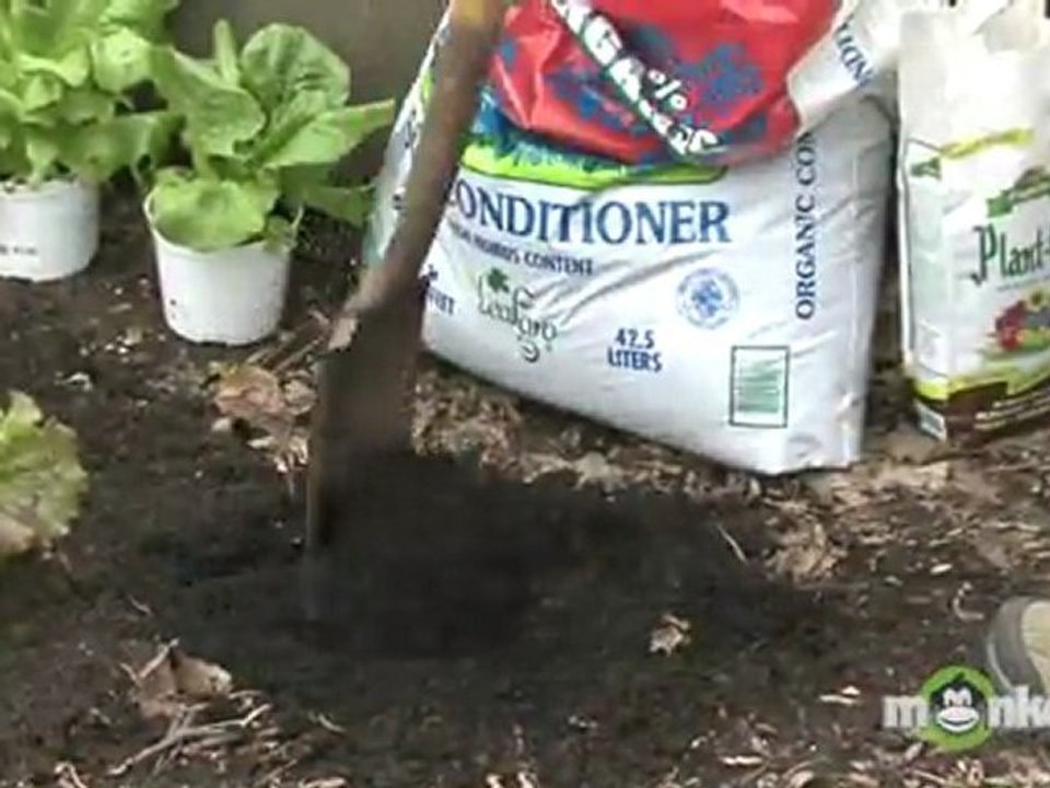 Get Garden Ready For Spring