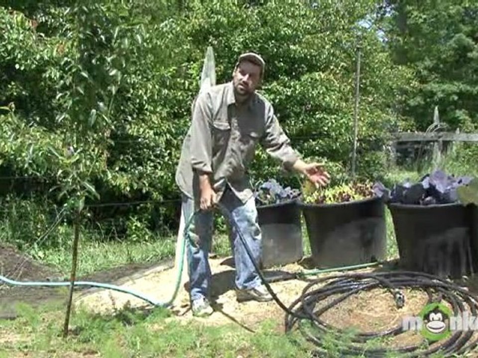 Watering An Organic Garden