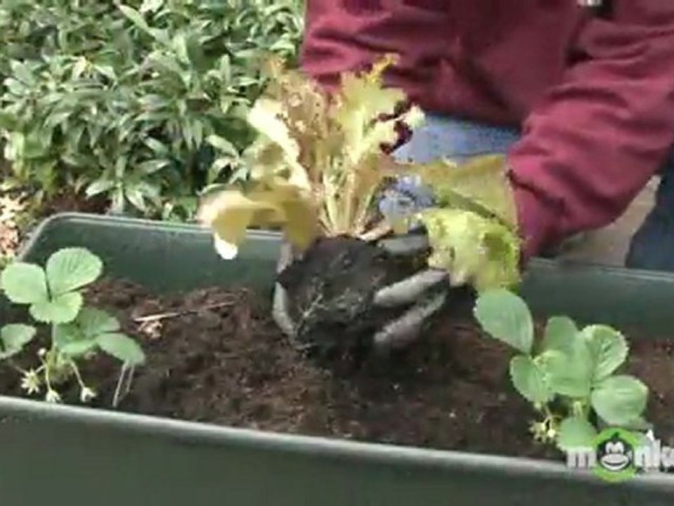 Spring Vegetable Garden Secrets