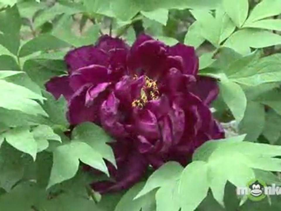 Secrets To Spring Garden Success