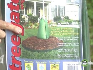 Summer Watering Secrets