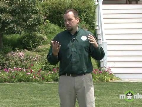 Conserving Water On Gardens And Lawns