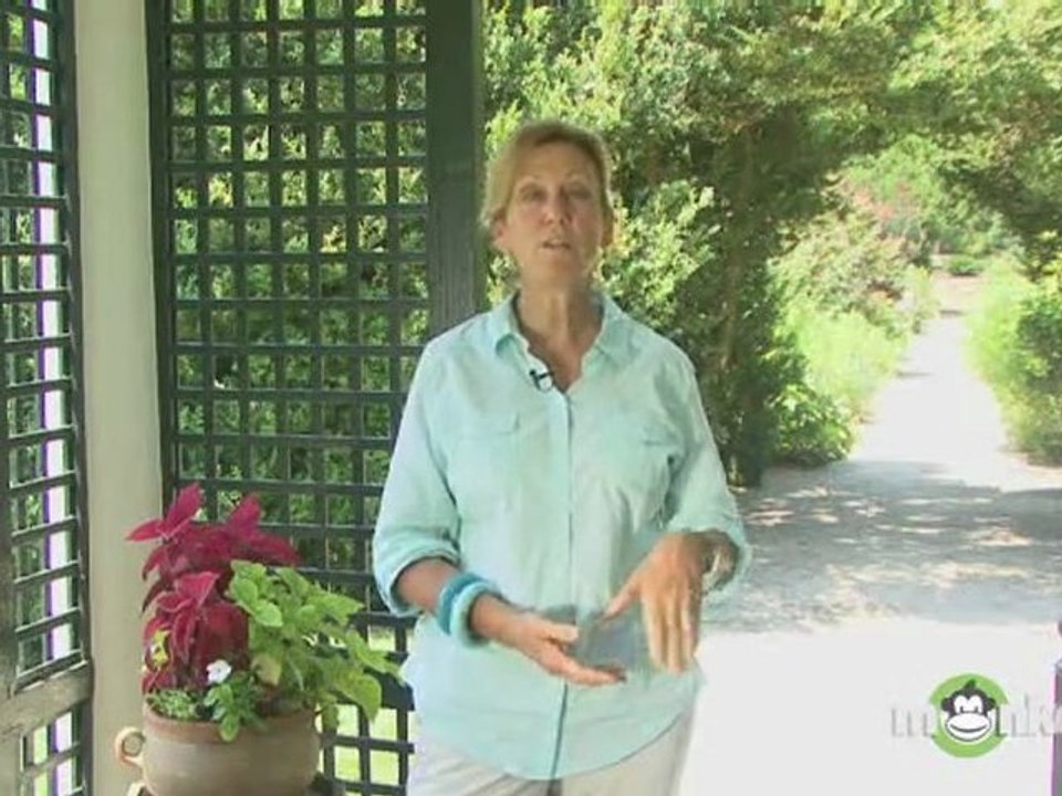 Summer Gardening - Container Gardening Basics