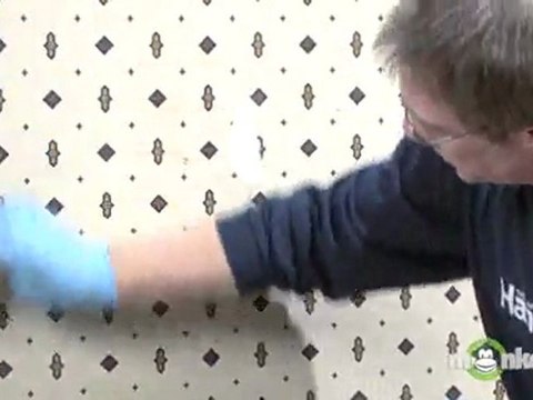 Painting Over Existing Wall Coverings