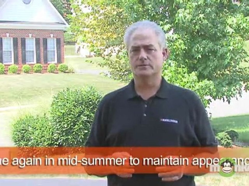 Hedge and Shrub Trimming Basics