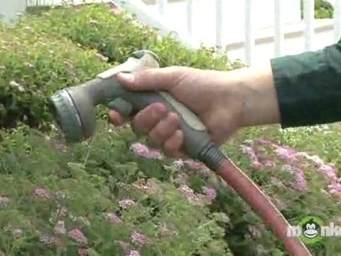 Garden Water Conservation – Reducing Lawn Maintenance