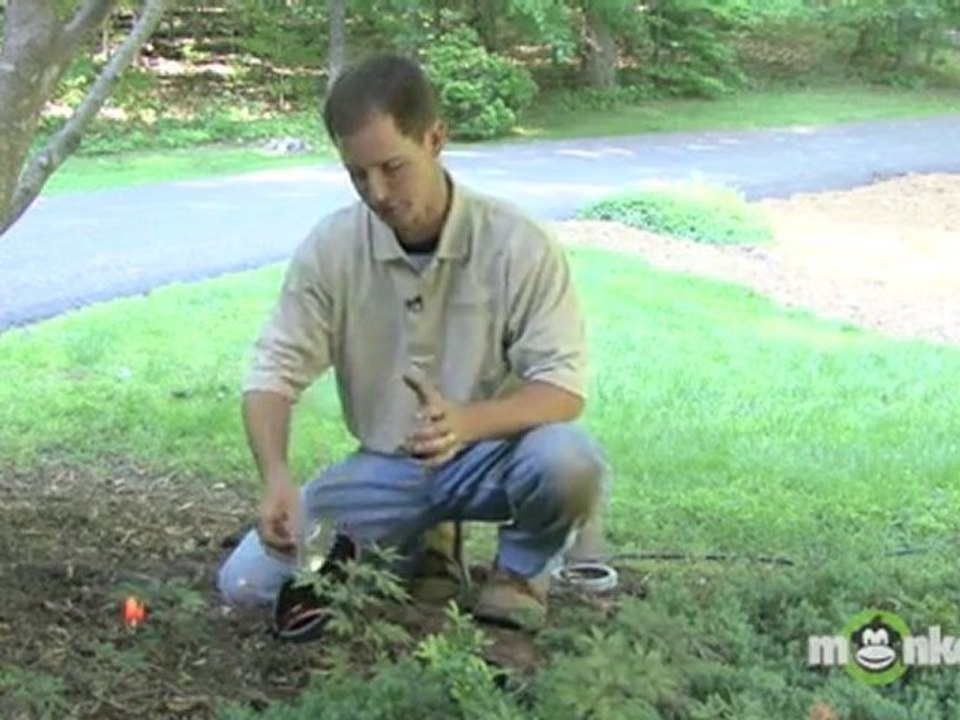 Outdoor Lighting Troubleshooting Tips