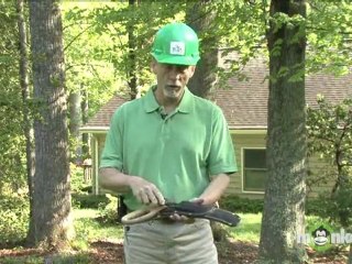 Tree Care Basics