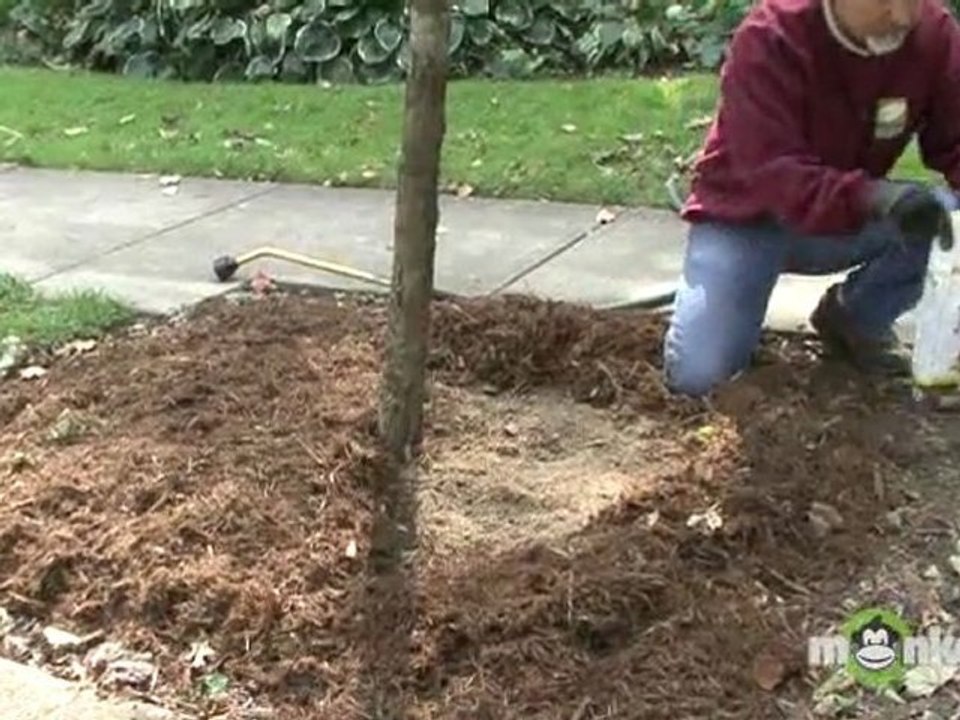 Winterizing Garden - Fertilizing