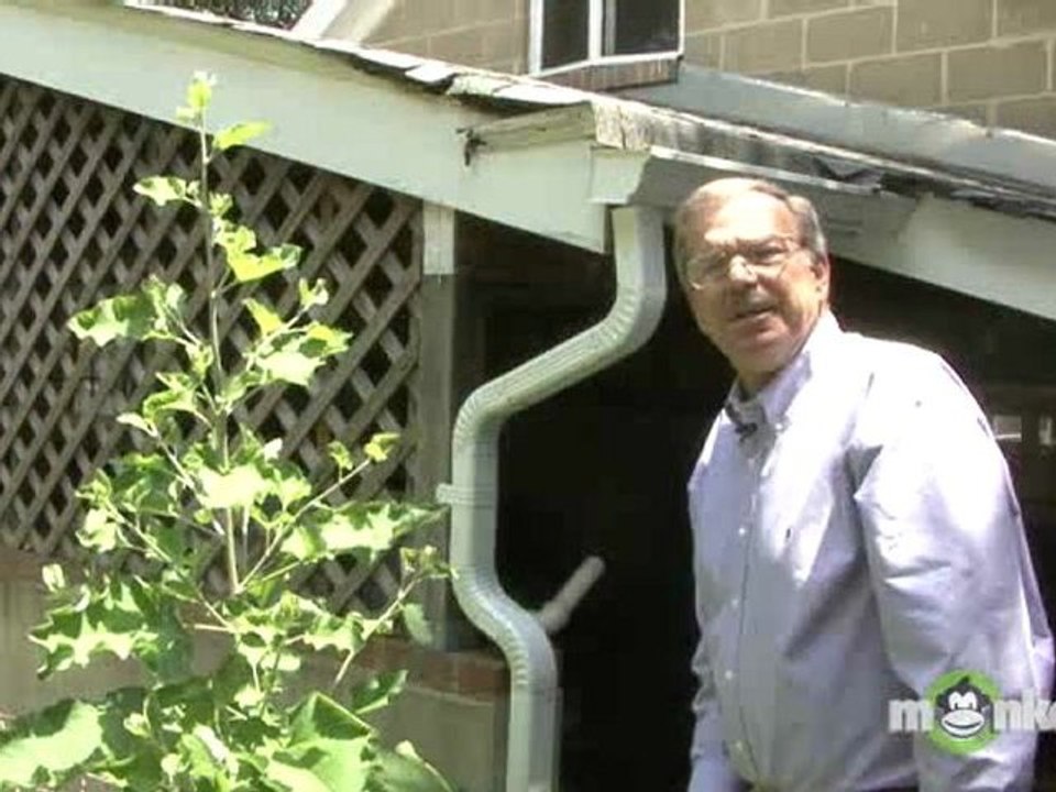 Home Inspection - The Garage